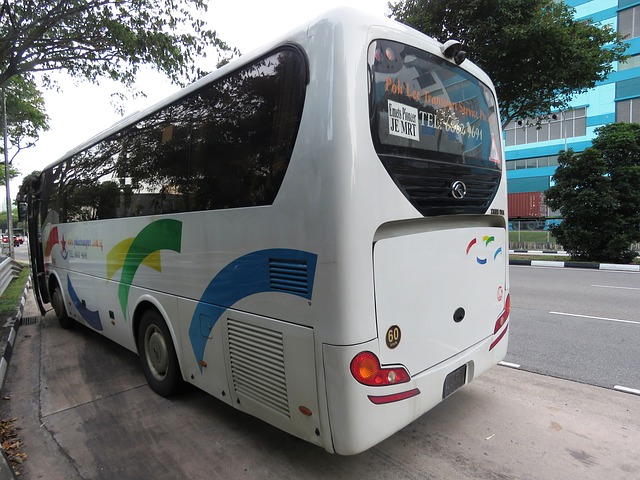 bus-2460482_640