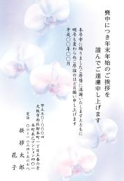 身内が亡くなったら喪中はがきを早めに 身内の不幸の知らせ 62円 年賀状 喪中はがき Memoメモ