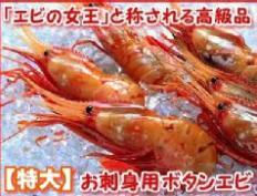 4_えびb