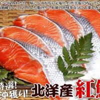 5_サケb